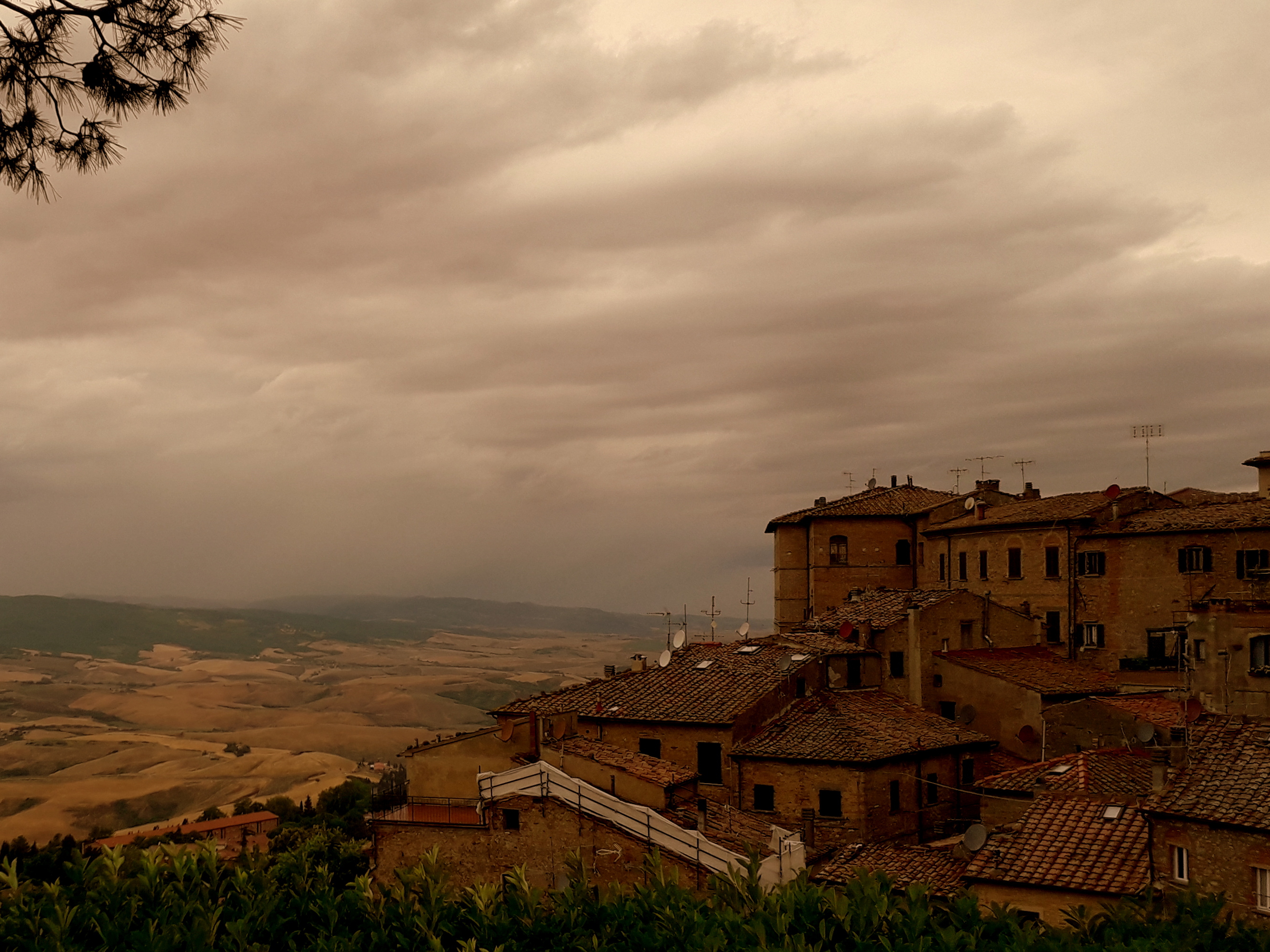 Volterra