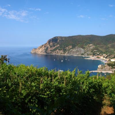 Monterosso - Cinque Terre