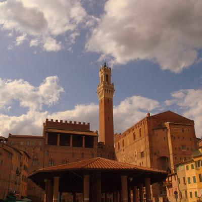 Siena 2