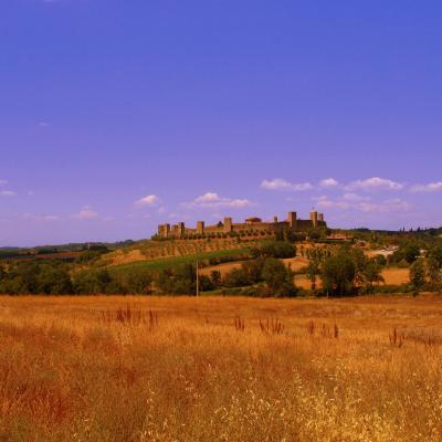 Monteriggioni 1