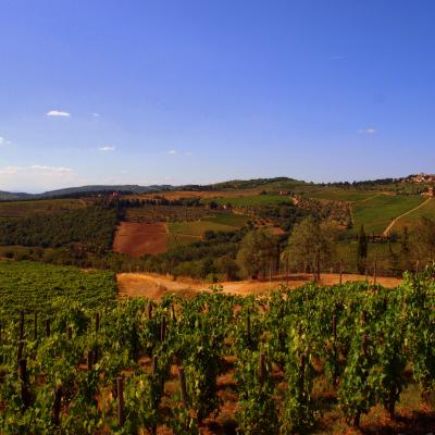 Chianti Valley