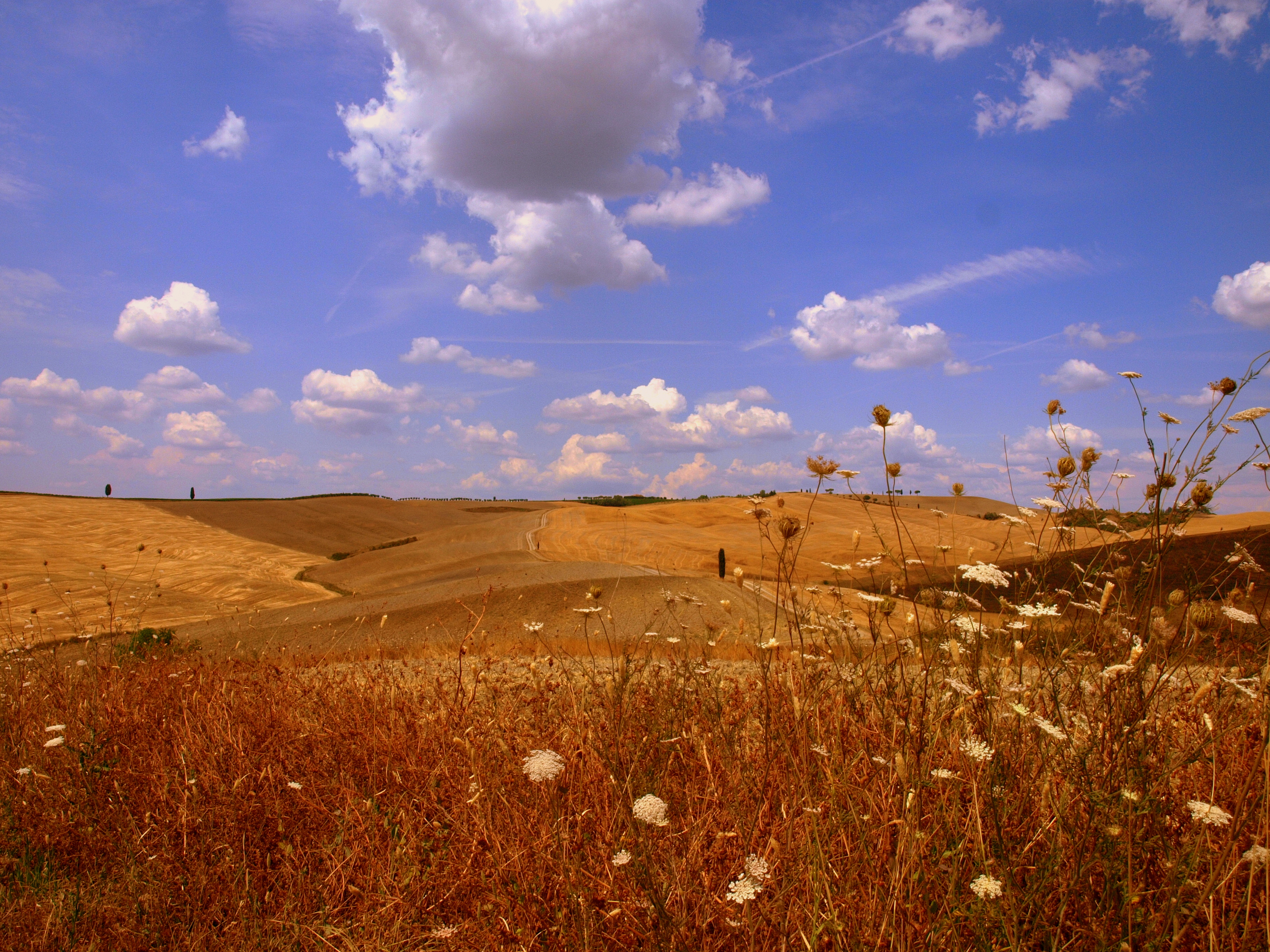 Val d'Orcia 3